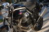 Griso 1100