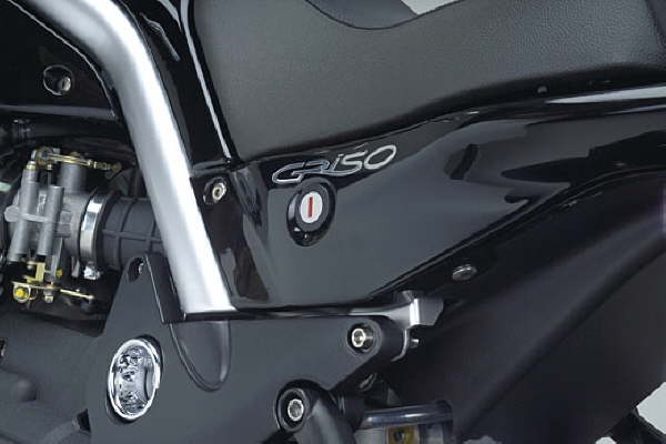 Griso 1100