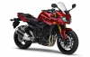 yamaha-fz1-06-bikepics-423092